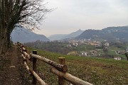 81 Dal  Sentiero delle castagne vista verso Endenna